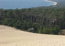 Vue sur le bassin d'Arcachon depuis la dune de Pilat 