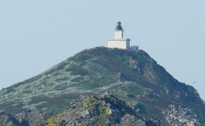 Phare sur l'île Sanguinaire en Corse au large du golfe d'Ajaccio